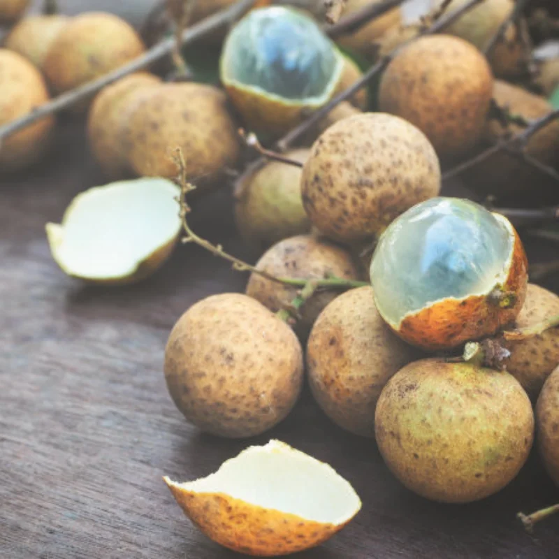 4 шт. металлические передние и задние амортизаторы крепления для MN86 MN86S MN86K MN86KS MNG500 1/12 RC гусеничный автомобиль обновленные детали
4 шт. металлические передние и задние амортизаторы крепления для MN86 MN86S MN86K MN86KS MNG500 1/12 RC гусеничный автомобиль обновленные детали