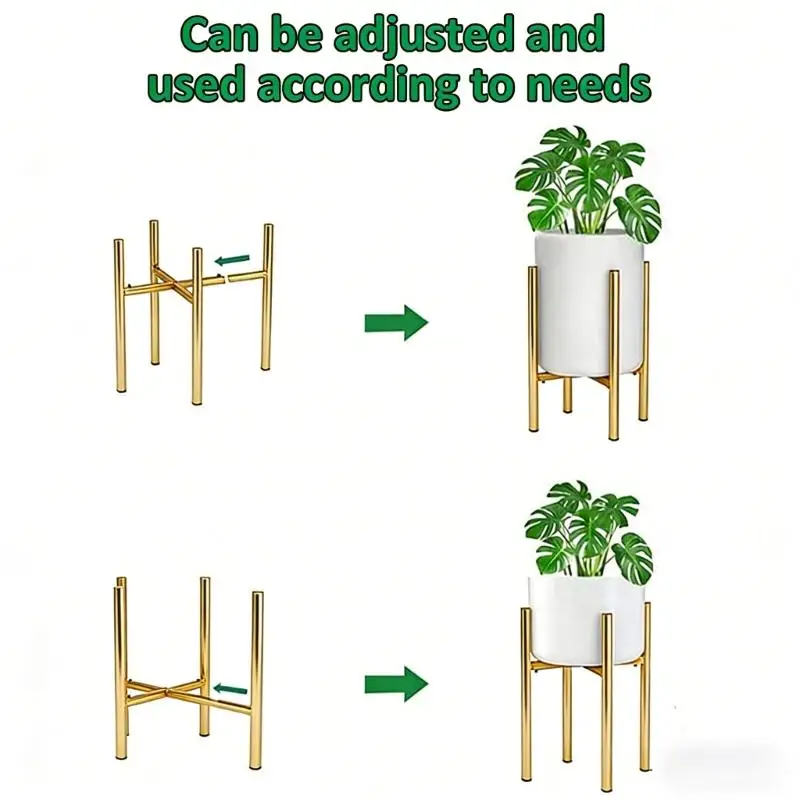 E8BD Modifiable Iron Plant Sports car 8 to 14 Foot Bowls with Double Height Approaches
E8BD Modifiable Iron Plant Sports car 8 to 14 Foot Bowls with Double Height Approaches