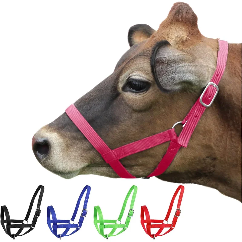 Adjustable Nylon Livestock Head Halter for Cattle & Horses – Breathable Rope Lead Leash, Tether Tie for Farm Animals
Adjustable Nylon Livestock Head Halter for Cattle & Horses – Breathable Rope Lead Leash, Tether Tie for Farm Animals