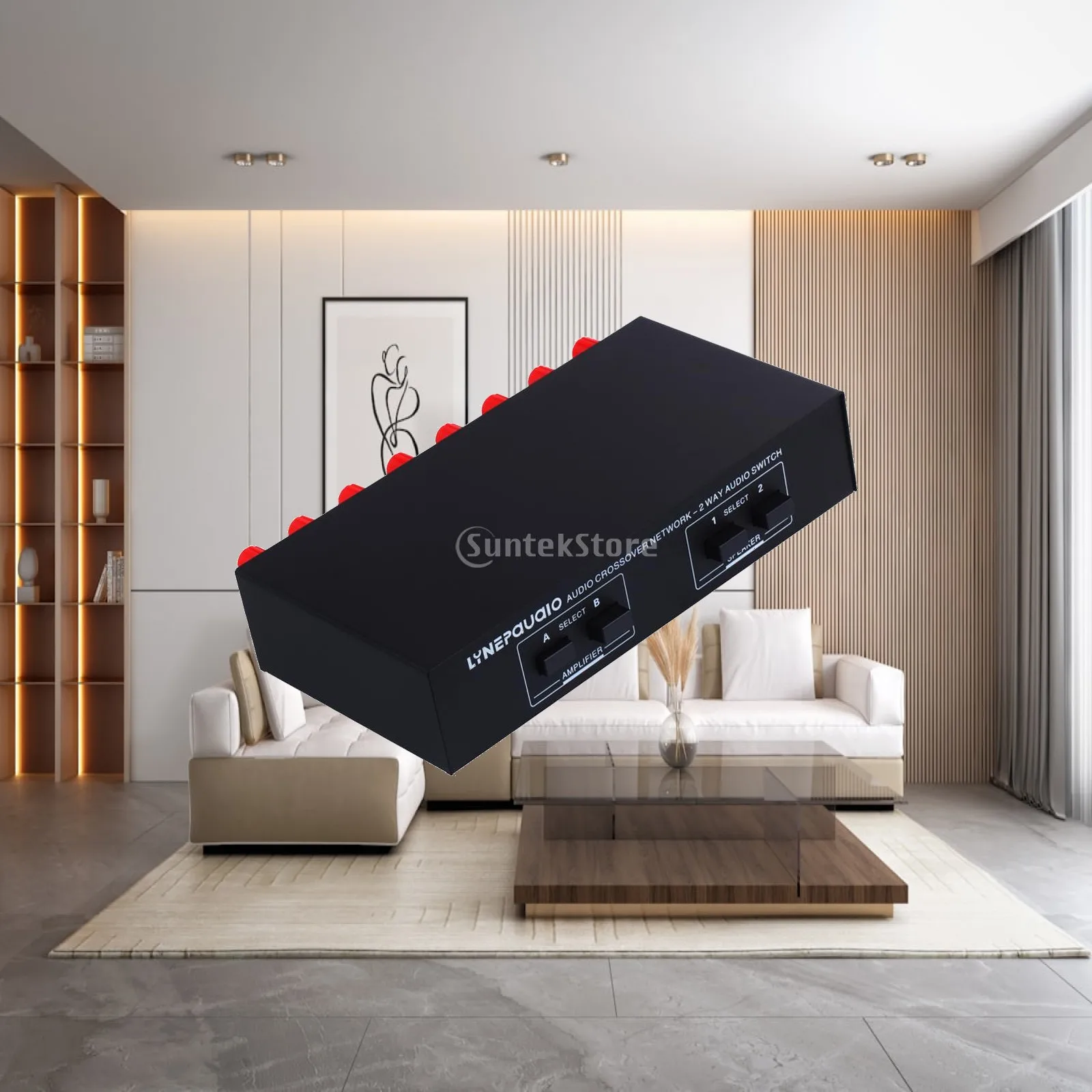 Passive Speaker Switcher 2 Channel Stereo Switch Amplifier Splitter with Speaker Connector for Power Amplifier Setups
Passive Speaker Switcher 2 Channel Stereo Switch Amplifier Splitter with Speaker Connector for Power Amplifier Setups