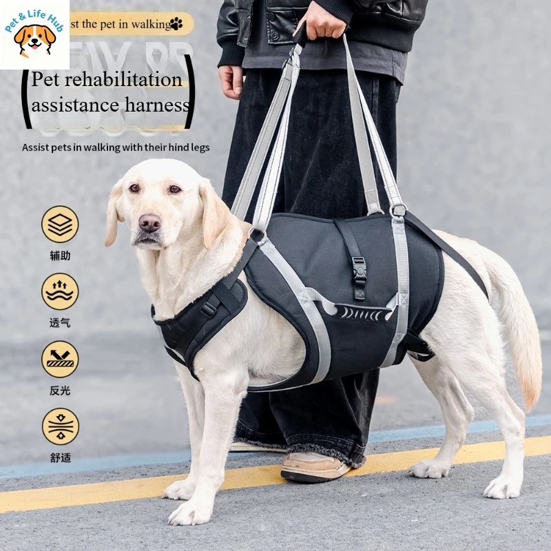 Large and medium-sized dog assistive back and chest straps - Adjustable pet rehabilitation travel assistive belt Pet supplies
Large and medium-sized dog assistive back and chest straps - Adjustable pet rehabilitation travel assistive belt Pet supplies