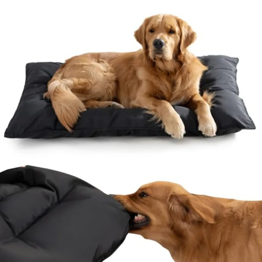 Chew Proof Indestructible Dog Bed for Aggressive Chewers Machine Washable Waterproof Indoor Outdoor Crate Pad Tough Kennel Pad
Chew Proof Indestructible Dog Bed for Aggressive Chewers Machine Washable Waterproof Indoor Outdoor Crate Pad Tough Kennel Pad