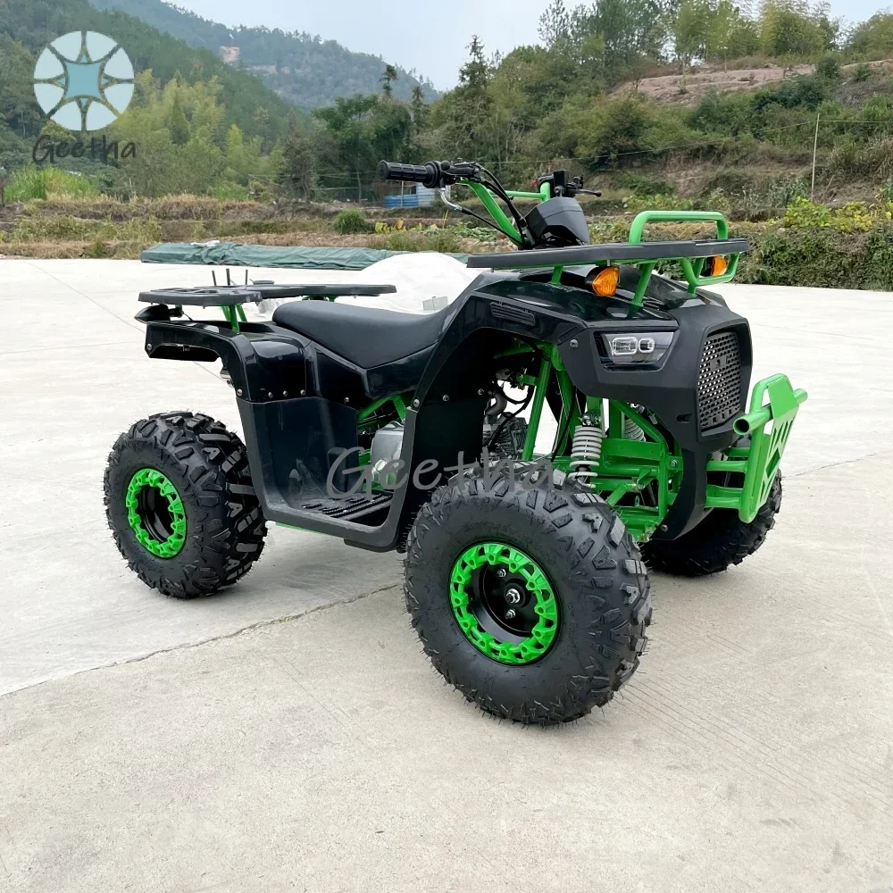 LNA Cheap Atv Quad Bike for Sale 125cc
LNA Cheap Atv Quad Bike for Sale 125cc