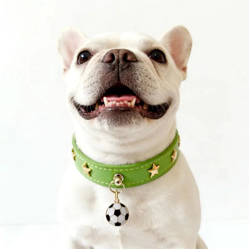 New Soccer Dog Collar with Soccer Ball Pendant, Adjustable Football Charm Pet Collar for Small Medium Dogs Cats, Sport Fan Gift
New Soccer Dog Collar with Soccer Ball Pendant, Adjustable Football Charm Pet Collar for Small Medium Dogs Cats, Sport Fan Gift