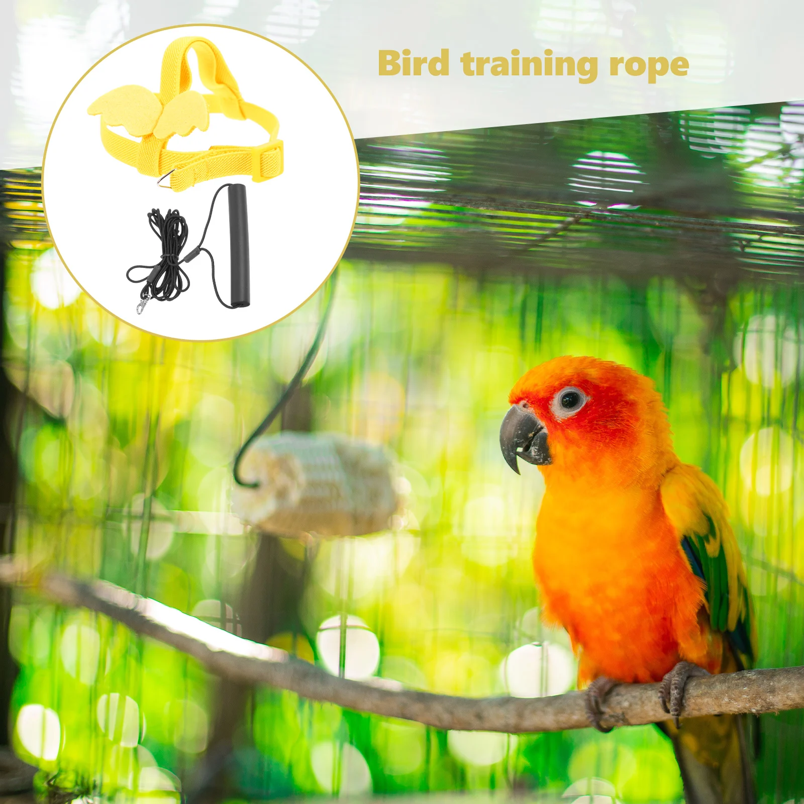 1 set Flying Lightweight Non Parrot Harness Slip Bird Harness Leash Bird Fly Train Tool Training Tool Pet Safety Flight Supply
1 set Flying Lightweight Non Parrot Harness Slip Bird Harness Leash Bird Fly Train Tool Training Tool Pet Safety Flight Supply