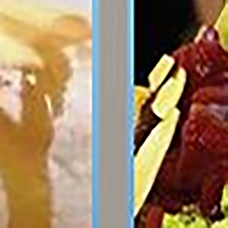Best Selling Fruity Taiwanese Shaved Ice Machine Automatic Korean Bingsu Machine Snowflake Ice Maker Machine for Sale
Best Selling Fruity Taiwanese Shaved Ice Machine Automatic Korean Bingsu Machine Snowflake Ice Maker Machine for Sale