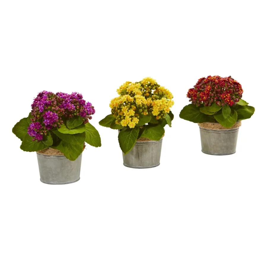 9" Plastic Kalanchoe Artificial Plant Set of 3 Multicolor
9" Plastic Kalanchoe Artificial Plant Set of 3 Multicolor