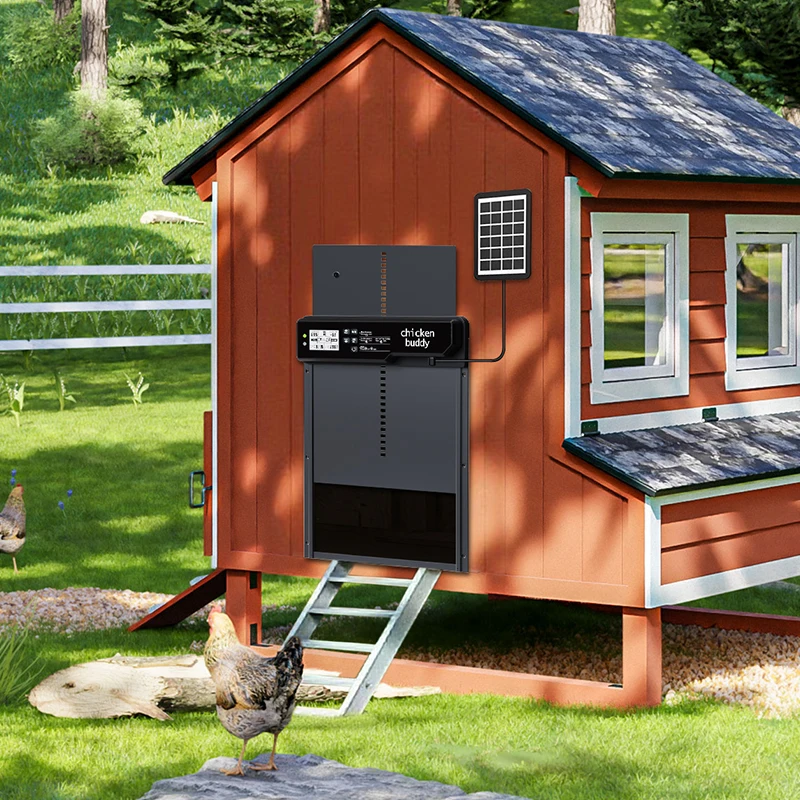 Poultry Door Automatic Opener Sustainable Battery Waterproof Smart Chicken Coop Door
Poultry Door Automatic Opener Sustainable Battery Waterproof Smart Chicken Coop Door