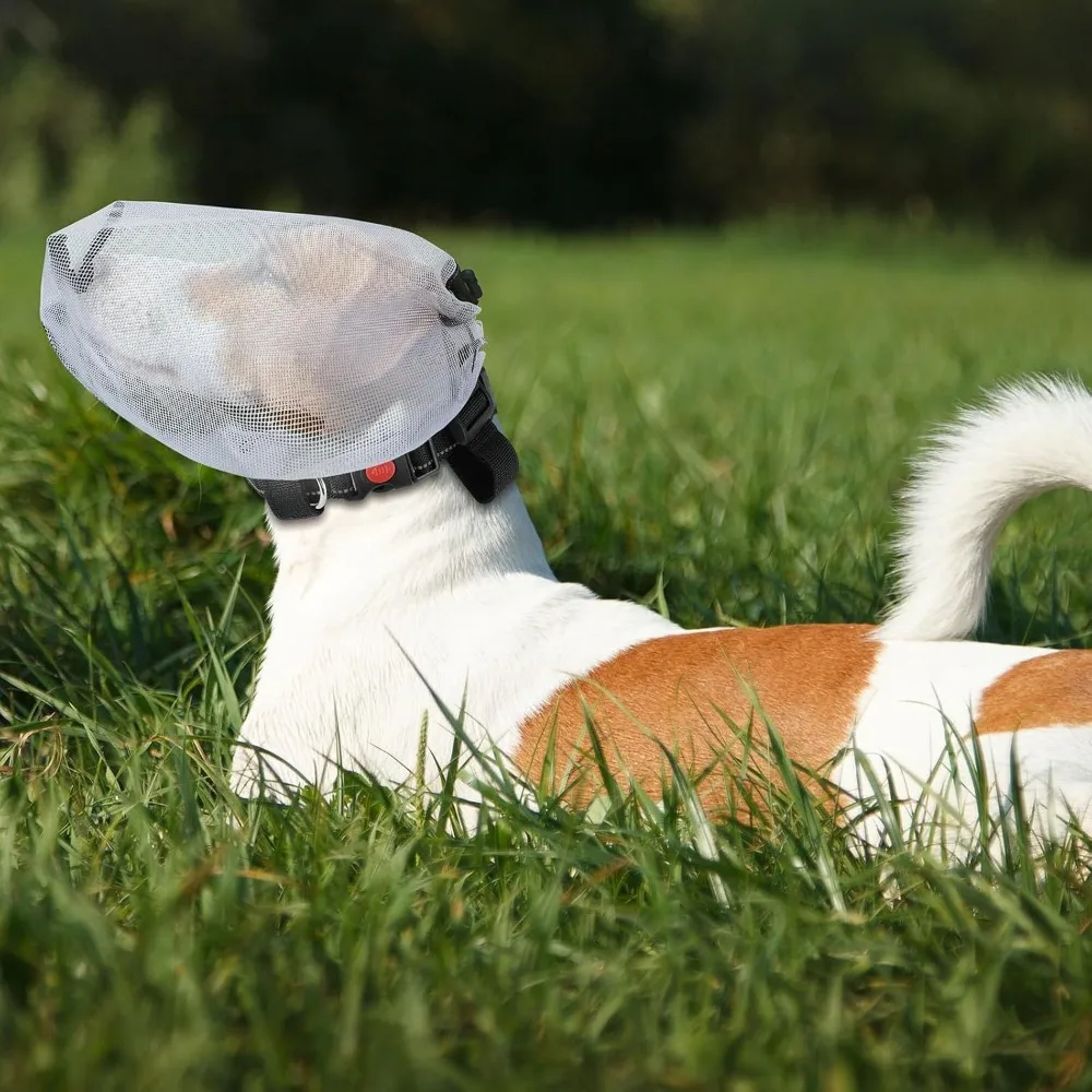 Durable Adjustable Dog Protective Mask Breathable Mesh Pet Protective Veil Portable Mosquito Proof Mask Travel
Durable Adjustable Dog Protective Mask Breathable Mesh Pet Protective Veil Portable Mosquito Proof Mask Travel