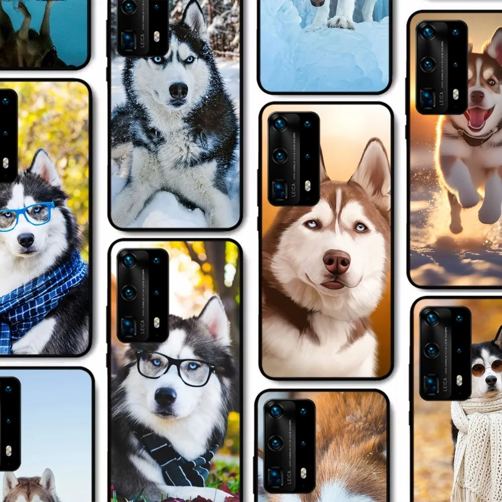 Husky animal Mousepad For Huawei P 8 9 10 20 30 40 50 Pro Lite Psmart Honor 10 lite 70 Mate 20lite
Husky animal Mousepad For Huawei P 8 9 10 20 30 40 50 Pro Lite Psmart Honor 10 lite 70 Mate 20lite