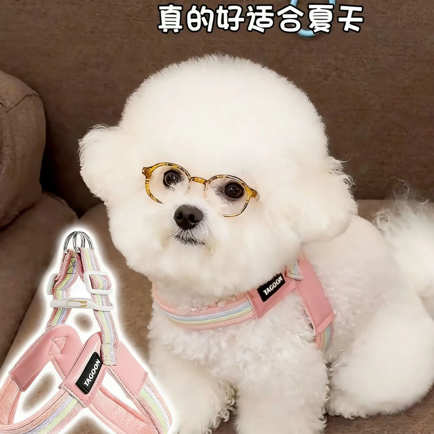 Summer new dog leash light and breathable pet chest back medium and small dog harness explosion-proof dog leash
Summer new dog leash light and breathable pet chest back medium and small dog harness explosion-proof dog leash