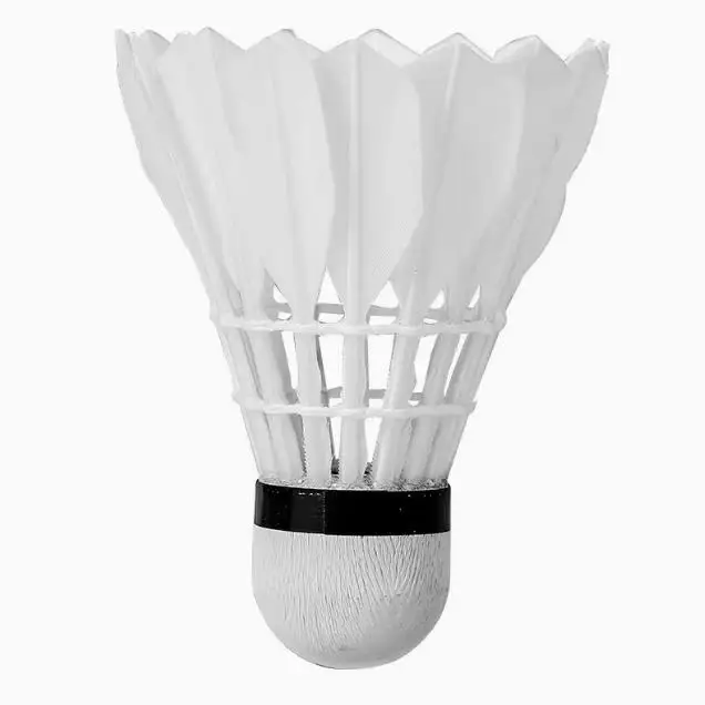Professional Badminton Shuttlecocks 6pcs 12sets Black White Durable Goose Feathers Indoor Outdoor Training Ball Pack
Professional Badminton Shuttlecocks 6pcs 12sets Black White Durable Goose Feathers Indoor Outdoor Training Ball Pack