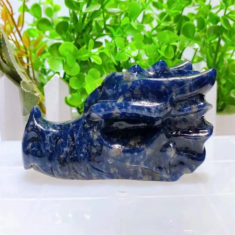Natural Blue Sodalite Dragon Skull Crystal Carved Healing Energy Stone Crafts For Halloween Gift Or Home Decoration 1PCS
Natural Blue Sodalite Dragon Skull Crystal Carved Healing Energy Stone Crafts For Halloween Gift Or Home Decoration 1PCS