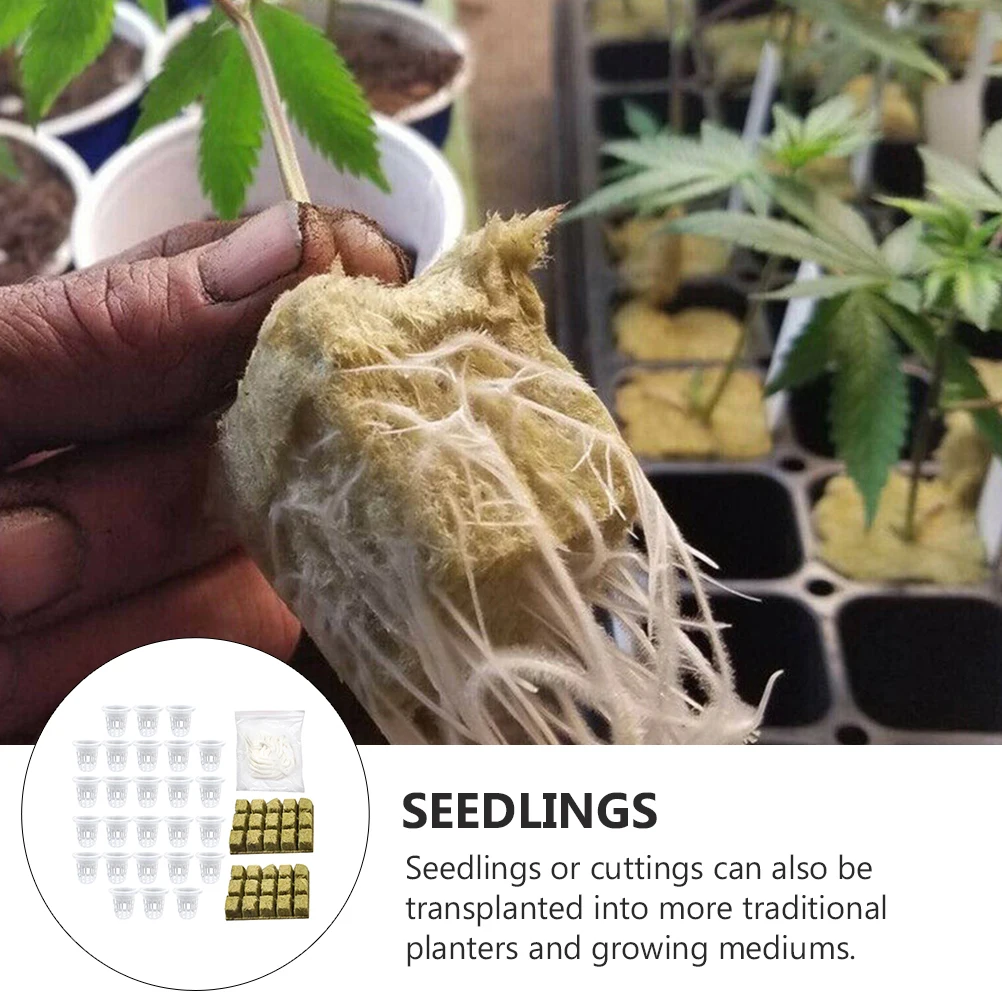 Hydroponic Nutrition Kit Hydroponics Wool Cube Grow Plant Soilless Culture Slotted Net Cups Mesh
Hydroponic Nutrition Kit Hydroponics Wool Cube Grow Plant Soilless Culture Slotted Net Cups Mesh