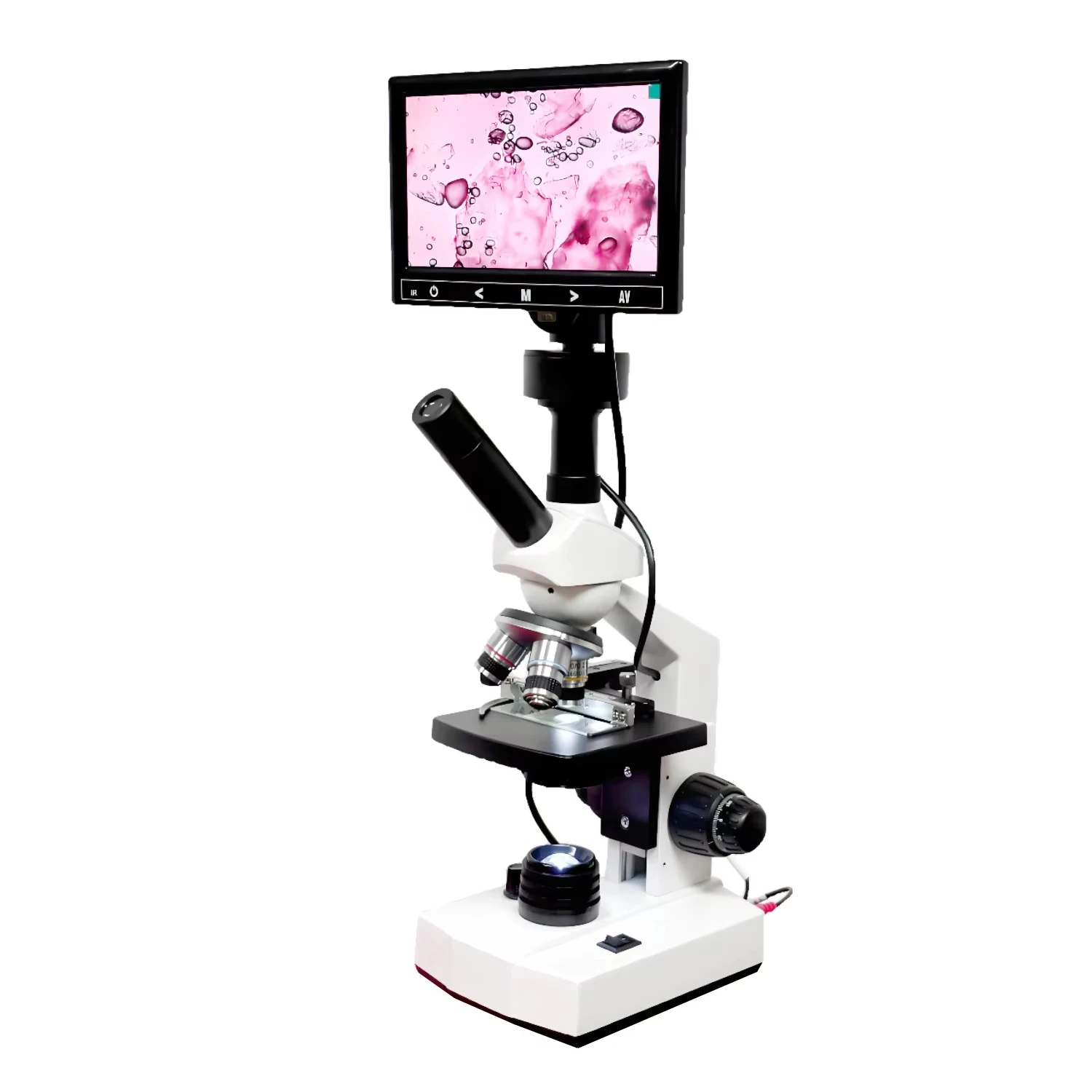 Electron Microscope Camera Screen Microscope Student Digital Binocular Microscope
Electron Microscope Camera Screen Microscope Student Digital Binocular Microscope