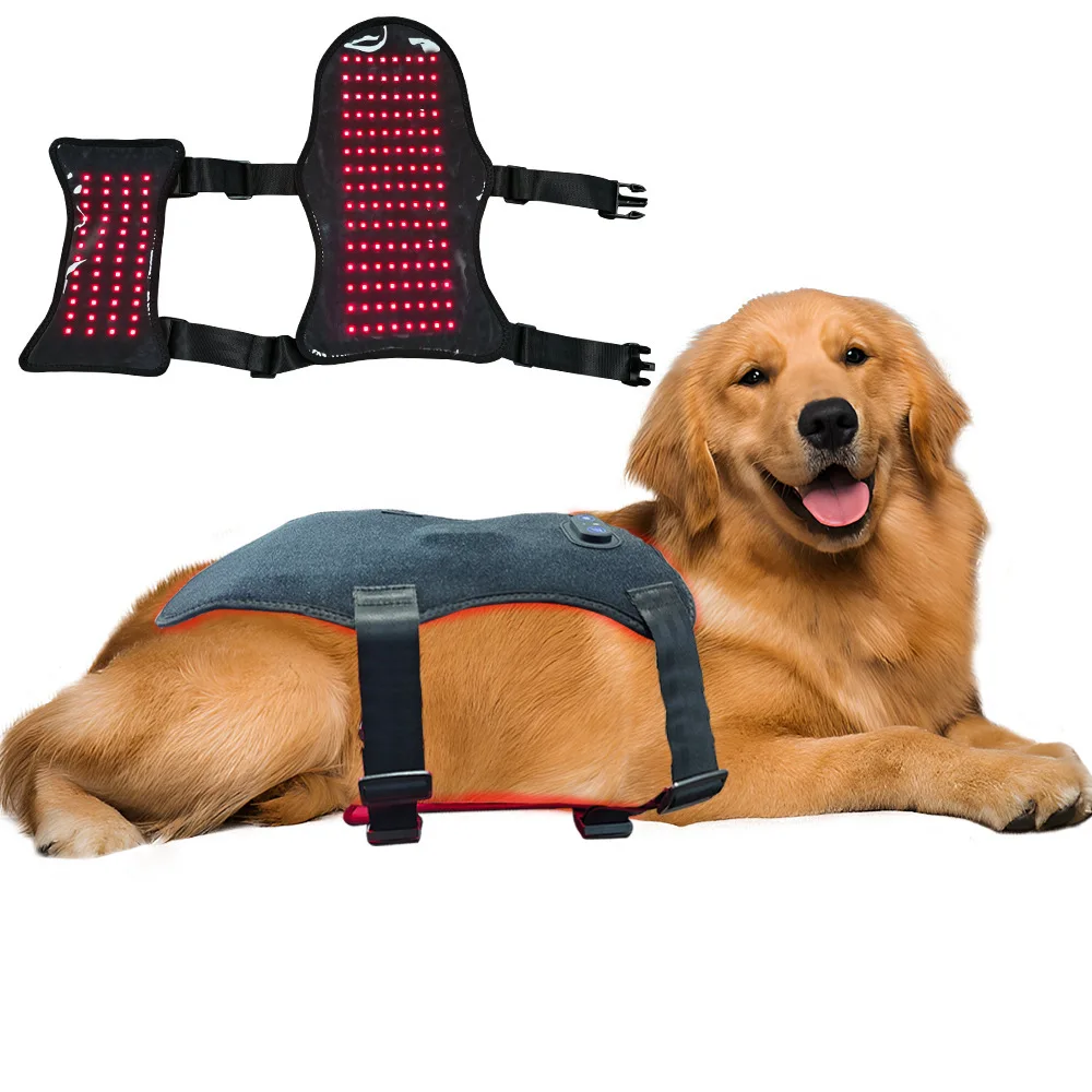Infrared Physiotherapy Belt for Dogs, Back and Abdominal Injury Healing, Pain Relief, Infrared Light Therapy, Pet Health Care
Infrared Physiotherapy Belt for Dogs, Back and Abdominal Injury Healing, Pain Relief, Infrared Light Therapy, Pet Health Care