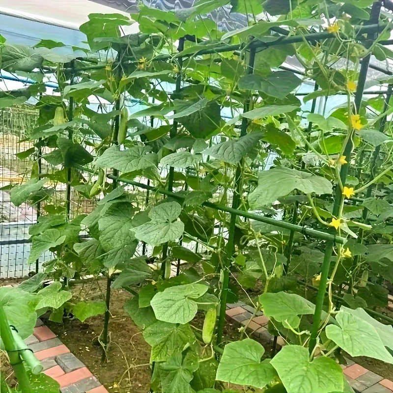 1 set of 60 durable metal climbing plant support brackets, suitable for plants, equipped with affordable accessories, sturdy and
1 set of 60 durable metal climbing plant support brackets, suitable for plants, equipped with affordable accessories, sturdy and