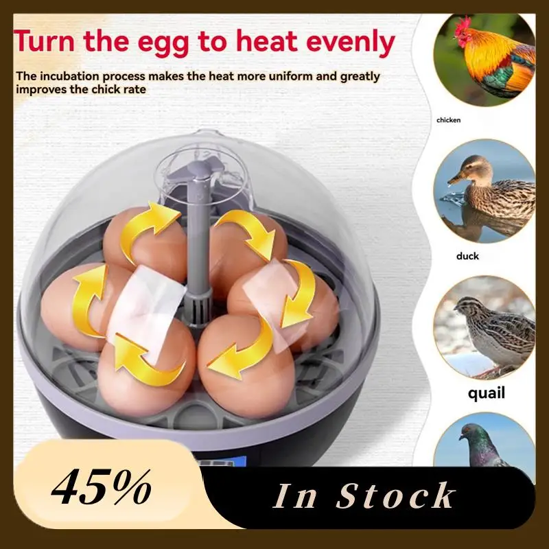 A78K New EU Plug Poultry Incubator Machine With 6 Egg Capacity - Automatic Temp Control For Chicken, Duck, Quail Eggs
A78K New EU Plug Poultry Incubator Machine With 6 Egg Capacity - Automatic Temp Control For Chicken, Duck, Quail Eggs