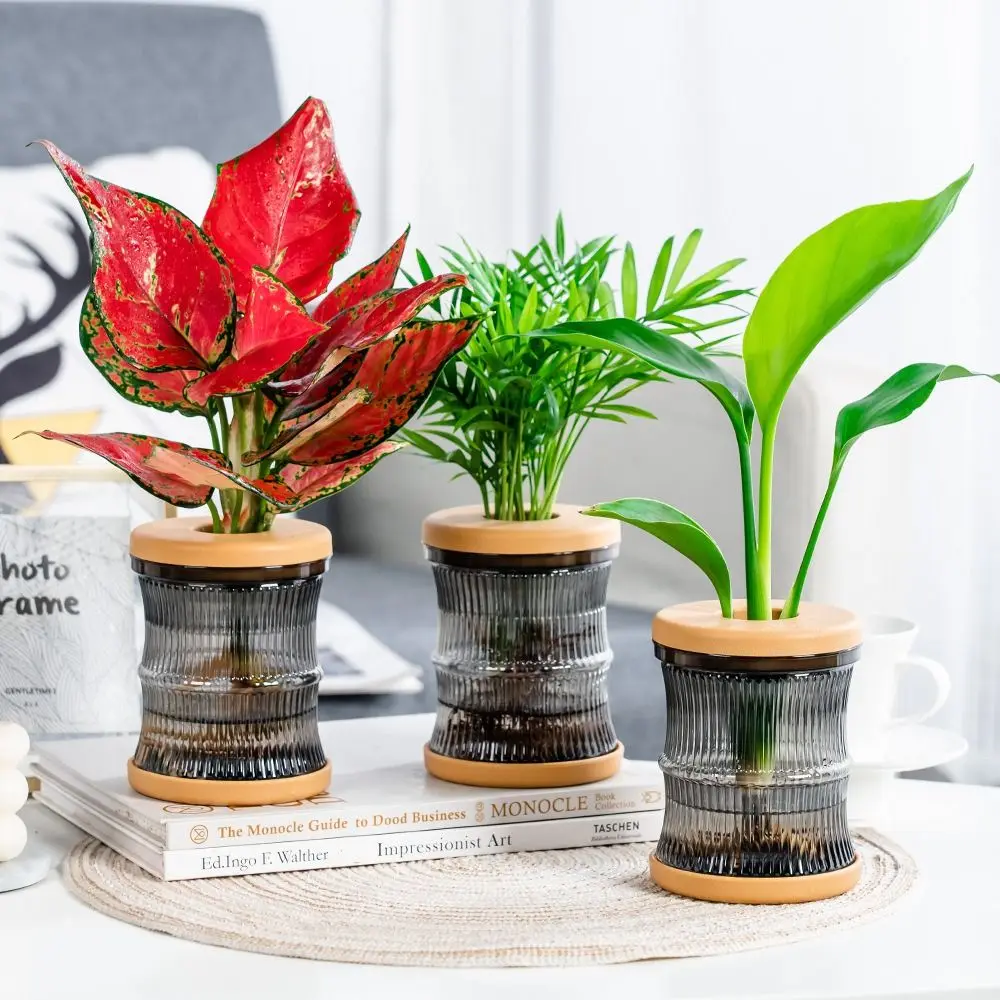 New Transparent Hydroponic Vase Bamboo Knot Shape Tabletop Ornament Plastic Vase Soilless Ecological Bottle Home
New Transparent Hydroponic Vase Bamboo Knot Shape Tabletop Ornament Plastic Vase Soilless Ecological Bottle Home