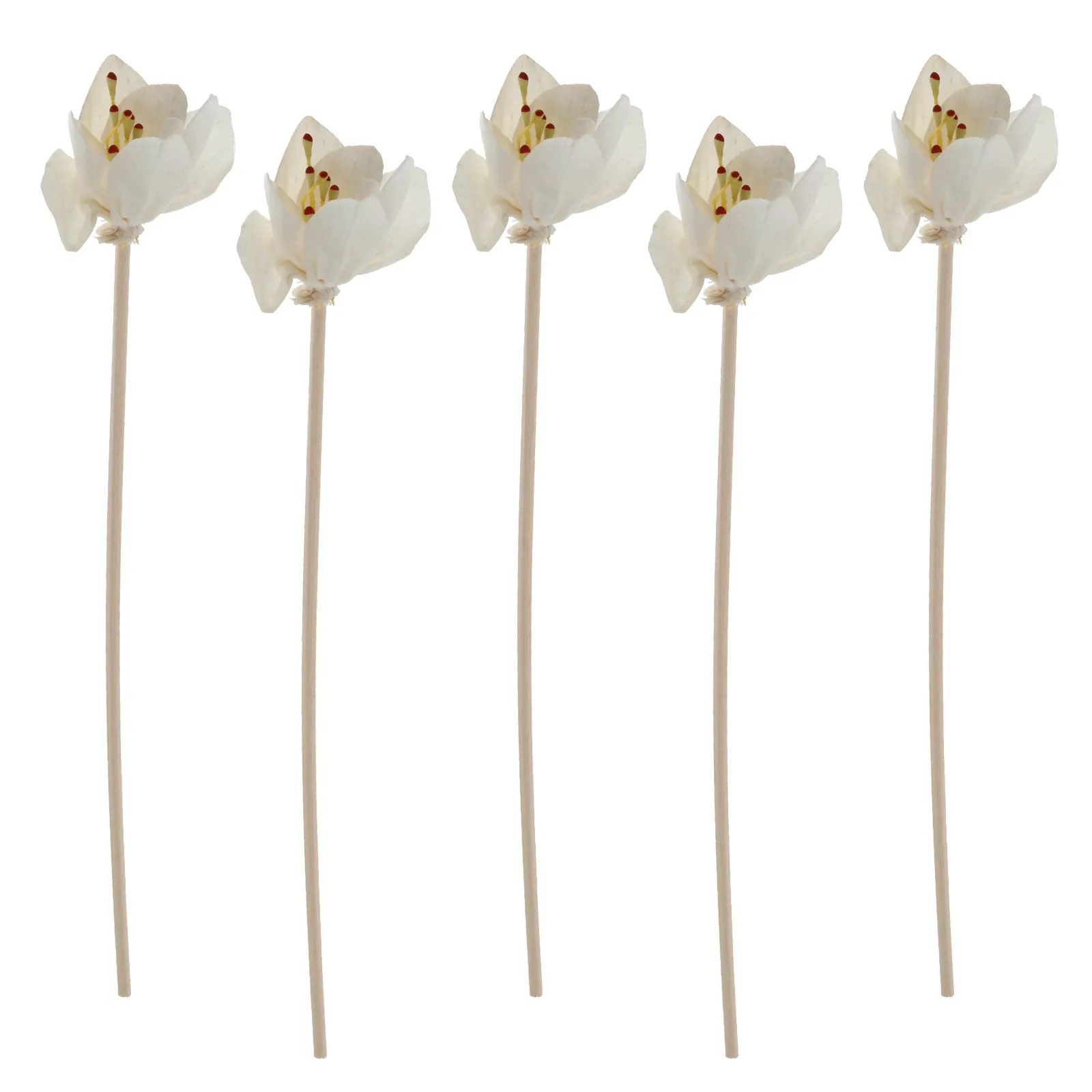 5Pcs Diffuser Rattans Flower Shape Wood Bead Sticks Aroma Diffuser Tools for Essential Oil Bottles Kitchen Living Room Hotel
5Pcs Diffuser Rattans Flower Shape Wood Bead Sticks Aroma Diffuser Tools for Essential Oil Bottles Kitchen Living Room Hotel