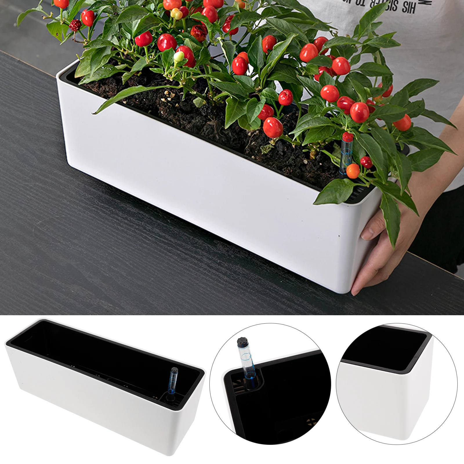 Thickened Narrow Edge Vegetable Pot Self Watering Planter Section Flower Pots Self-absorbing Plastic Self-watering Flowerpot
Thickened Narrow Edge Vegetable Pot Self Watering Planter Section Flower Pots Self-absorbing Plastic Self-watering Flowerpot