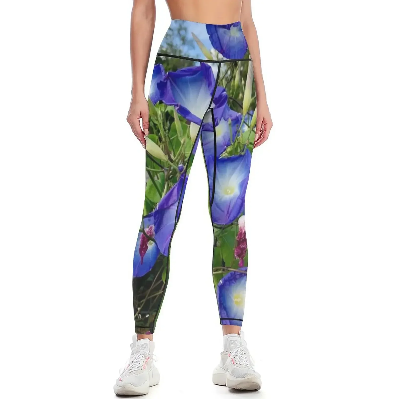 Beautiful Blue and White Morning Glories Leggings legging gym jogging pants harem pants sportswear for gym Womens Leggings
Beautiful Blue and White Morning Glories Leggings legging gym jogging pants harem pants sportswear for gym Womens Leggings