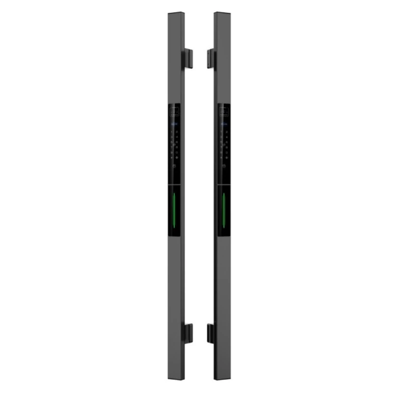 fingerprint Aluminum alloy door Garden fence door Aluminum art hollow iron art waterproof outdoor double-sided password lock
fingerprint Aluminum alloy door Garden fence door Aluminum art hollow iron art waterproof outdoor double-sided password lock
