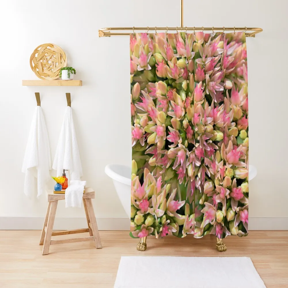 Autumn Joy Shower Curtain Elegant Bathroom Waterproof Shower And Anti-Mold For Shower Anime Bathroom Curtain
Autumn Joy Shower Curtain Elegant Bathroom Waterproof Shower And Anti-Mold For Shower Anime Bathroom Curtain