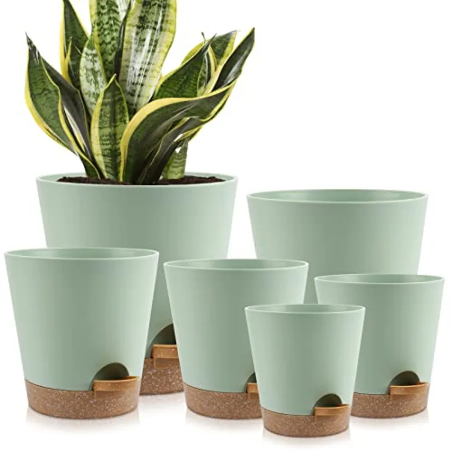door Self Waterg Planters with Draage Holes and Saucers, 8, 7, 6.5, 6, 5.5, 5 ch,,6 Pots
door Self Waterg Planters with Draage Holes and Saucers, 8, 7, 6.5, 6, 5.5, 5 ch,,6 Pots
