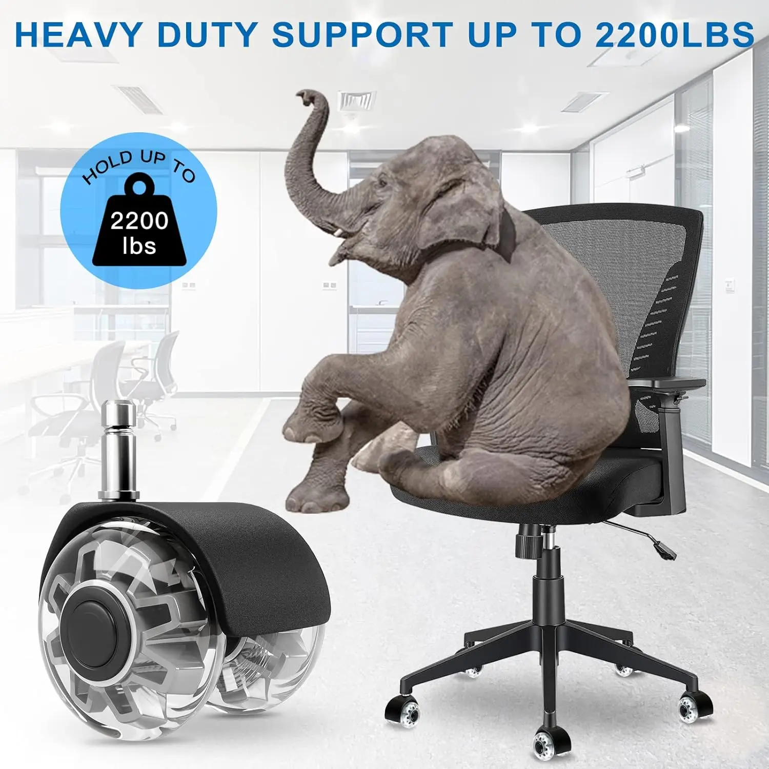 (5 Packs) Office Chair Wheels Replacement 2 Inch Pole M10/M11 Heavy Duty Caster Wheels Quick & Quiet Rolling Chair Casters
(5 Packs) Office Chair Wheels Replacement 2 Inch Pole M10/M11 Heavy Duty Caster Wheels Quick & Quiet Rolling Chair Casters