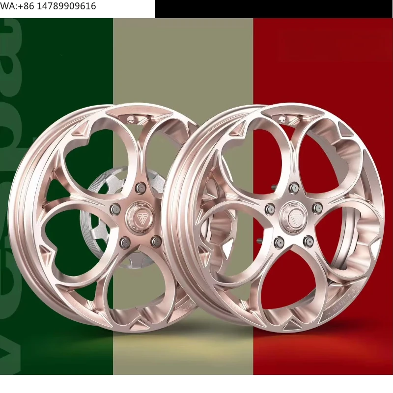 Premium Bespoke Full-size Motorcycle RimsTARNS New Aluminum Alloy Forged Lightweight Front Motorcycle Alloy Rim Wheels For 12-in
Premium Bespoke Full-size Motorcycle RimsTARNS New Aluminum Alloy Forged Lightweight Front Motorcycle Alloy Rim Wheels For 12-in