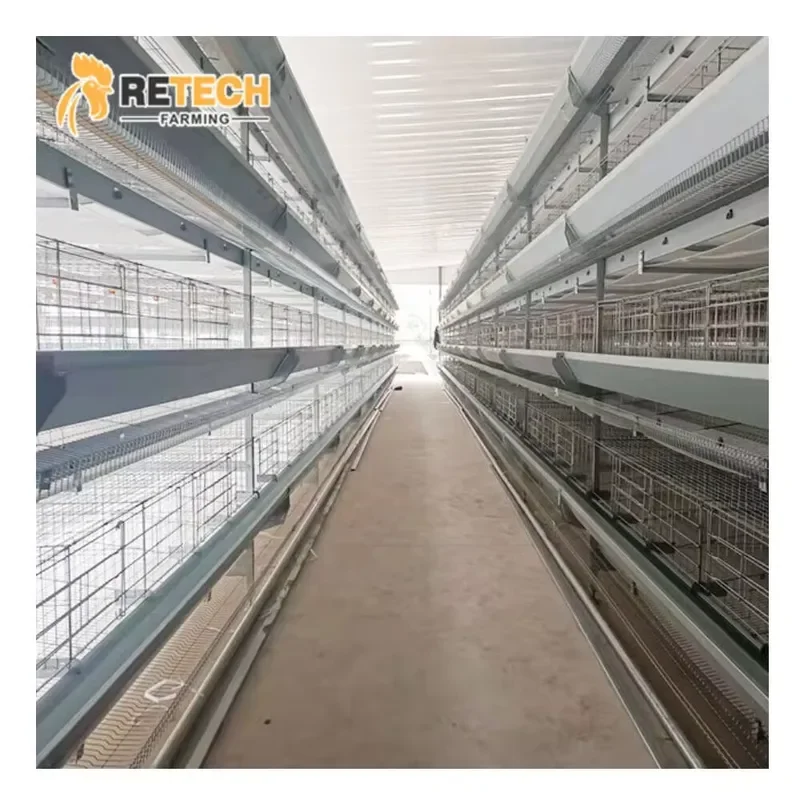 High Quality Automatic Egg Layer Chicken Farm Laying Hens Poultry Battery Cages for Sale for All Standard Farm Equipment
High Quality Automatic Egg Layer Chicken Farm Laying Hens Poultry Battery Cages for Sale for All Standard Farm Equipment