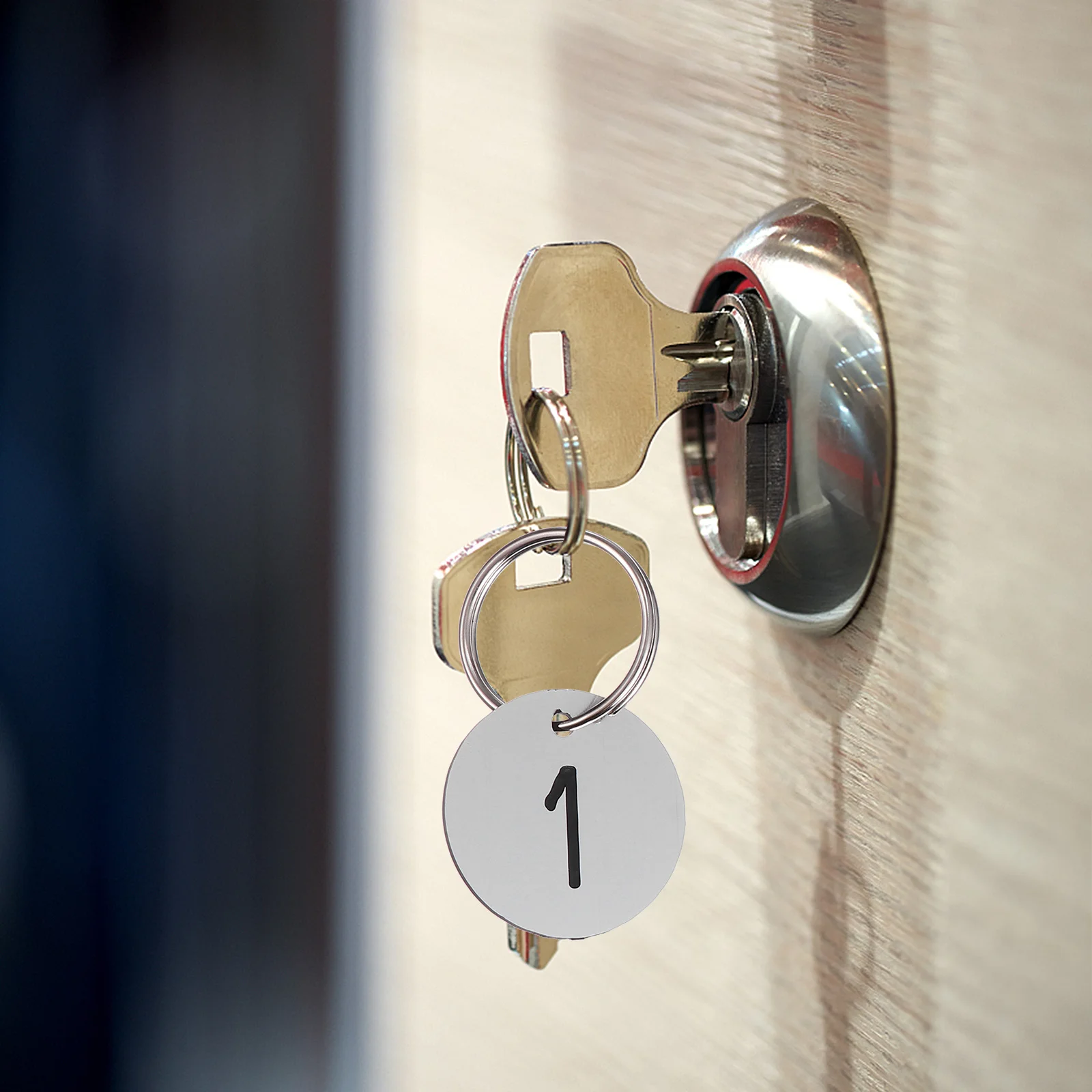 50Pcs Round Plastic Numbered Tags Engraved Id Labels with Ring for Restaurant Pub Fitness School Use
50Pcs Round Plastic Numbered Tags Engraved Id Labels with Ring for Restaurant Pub Fitness School Use