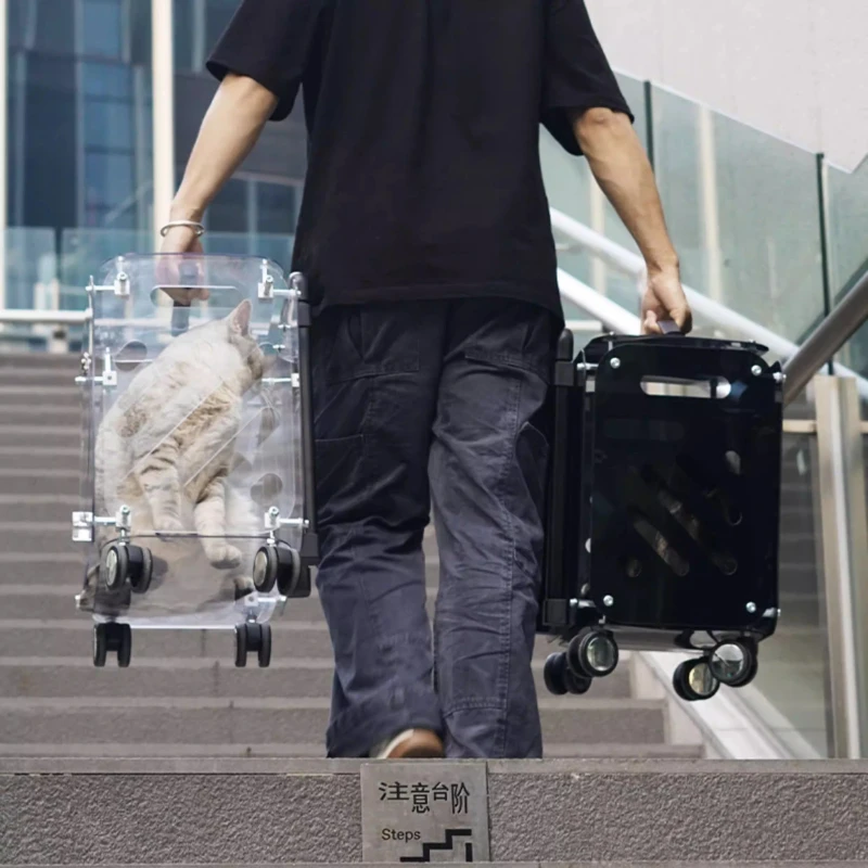 Stylish Transparent Pet Trolley Foldable Dog Cat Carriy Travel-Friendly Suitcase Large Capacity Transport Bag for Travel Carriy
Stylish Transparent Pet Trolley Foldable Dog Cat Carriy Travel-Friendly Suitcase Large Capacity Transport Bag for Travel Carriy
