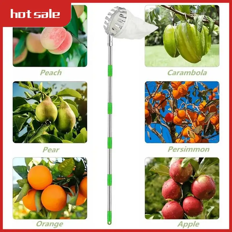 A21I-Fruit Picker With 4 Telescopic Pole Metal Fruit Picker Orchard Gardening Peach Picking Tools Garden Fruit Picking Tool Dura
A21I-Fruit Picker With 4 Telescopic Pole Metal Fruit Picker Orchard Gardening Peach Picking Tools Garden Fruit Picking Tool Dura