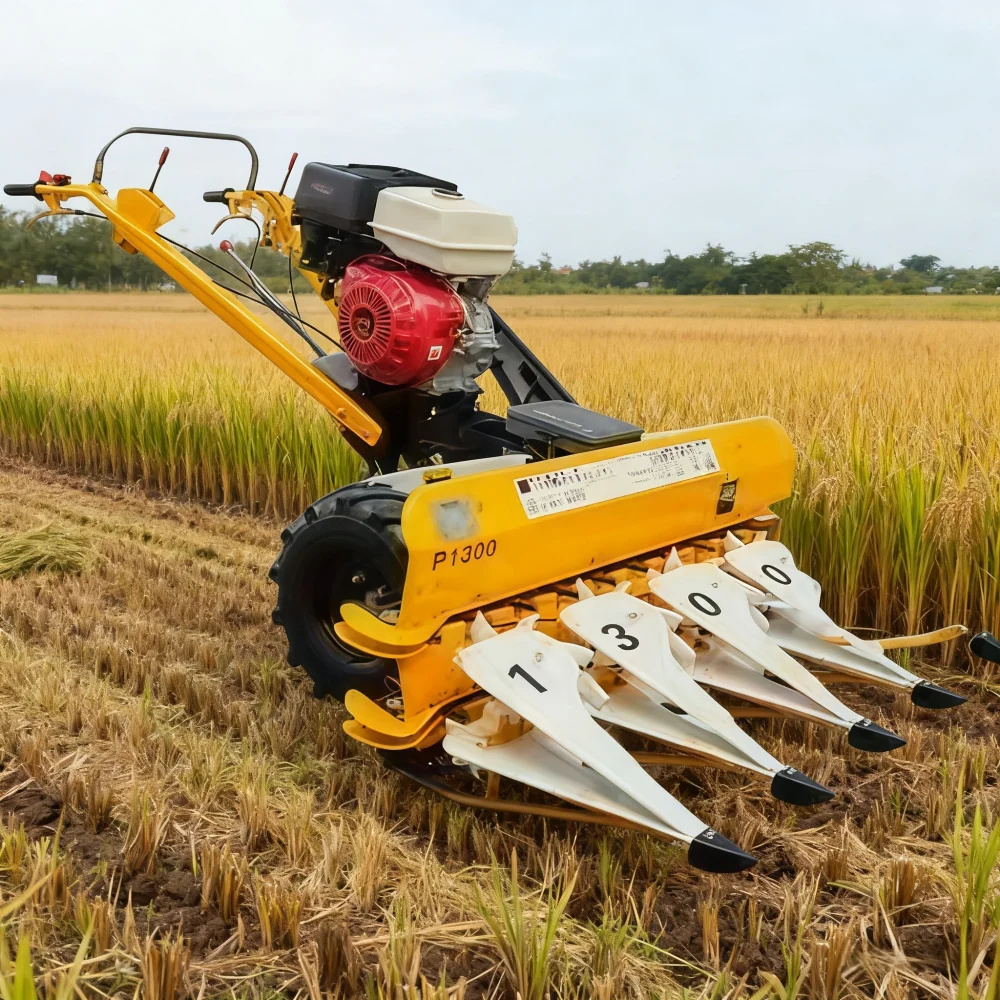 Walking Tractor Mounted Crop Cutter - Multi-Purpose Harvesting Platform For Corn Wheat Oats Purpureum Harvesting Machinery
Walking Tractor Mounted Crop Cutter - Multi-Purpose Harvesting Platform For Corn Wheat Oats Purpureum Harvesting Machinery