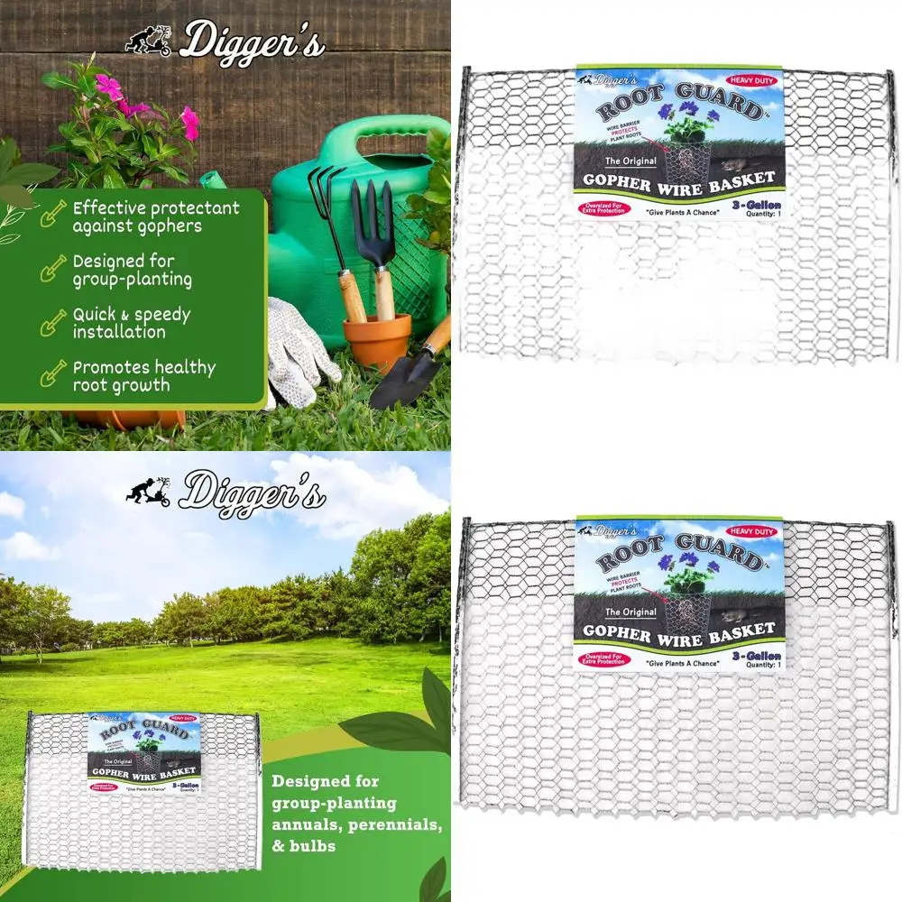 Прочные корзины из проволоки для защиты растений от гофровоксаток, объемом 3 галлона
Прочные корзины из проволоки для защиты растений от гофровоксаток, объемом 3 галлона