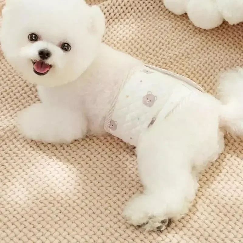 Adjustable Pet Physiological Pants Breathable Washable Diapers Dog Shorts Sanitary Panties for Small Medium Large Dogs
Adjustable Pet Physiological Pants Breathable Washable Diapers Dog Shorts Sanitary Panties for Small Medium Large Dogs