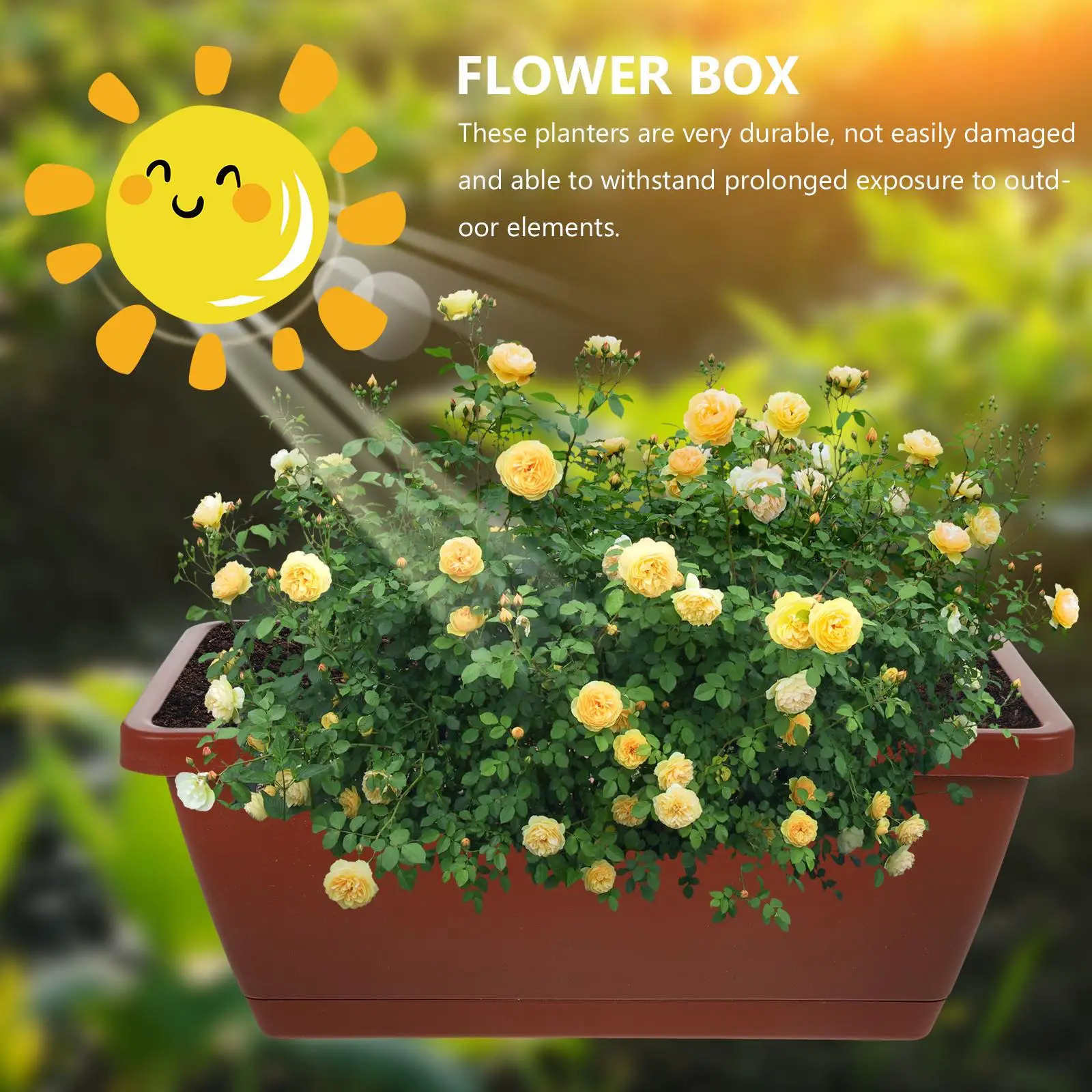 4 Pcs Boxes Plastic Flower Pot Square Container for Windows Indoor Brown Flowerpot
4 Pcs Boxes Plastic Flower Pot Square Container for Windows Indoor Brown Flowerpot