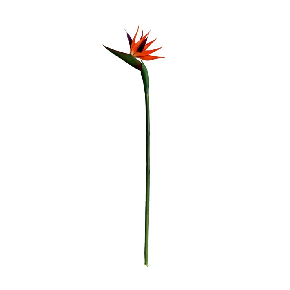 Simulated Birds and Fake Flowers Home Decor Party Supply Artificial Plant Simulation Plastic Paradise Mother Adornment
Simulated Birds and Fake Flowers Home Decor Party Supply Artificial Plant Simulation Plastic Paradise Mother Adornment