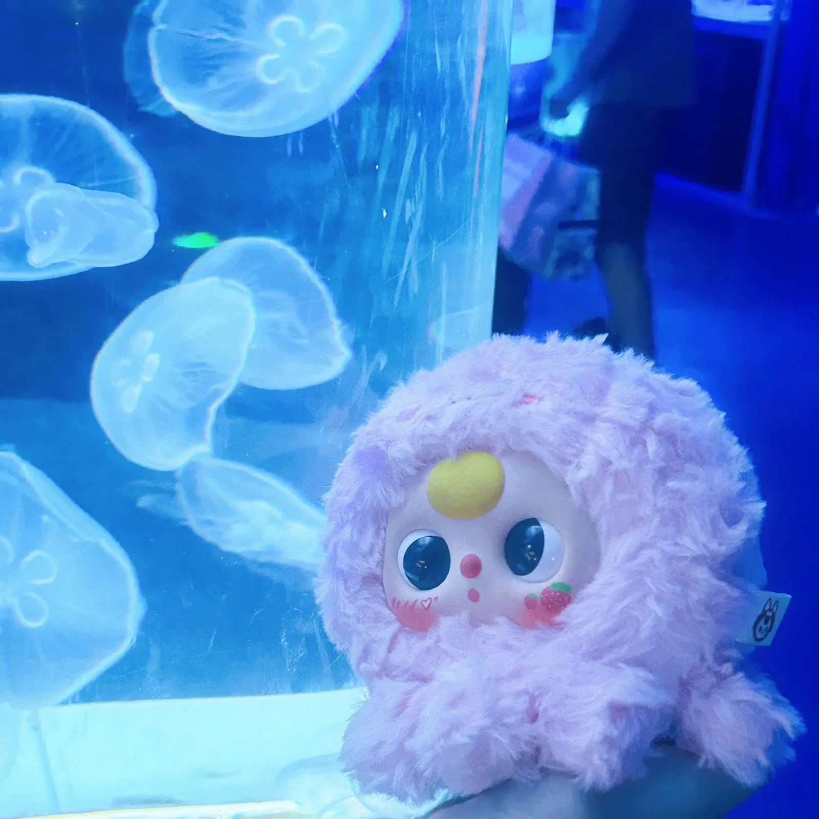 2025 NEW baby three-year-old mobile phone bag plush random blind box cute pet bag plush doll romantic ocean style 
2025 NEW baby three-year-old mobile phone bag plush random blind box cute pet bag plush doll romantic ocean style