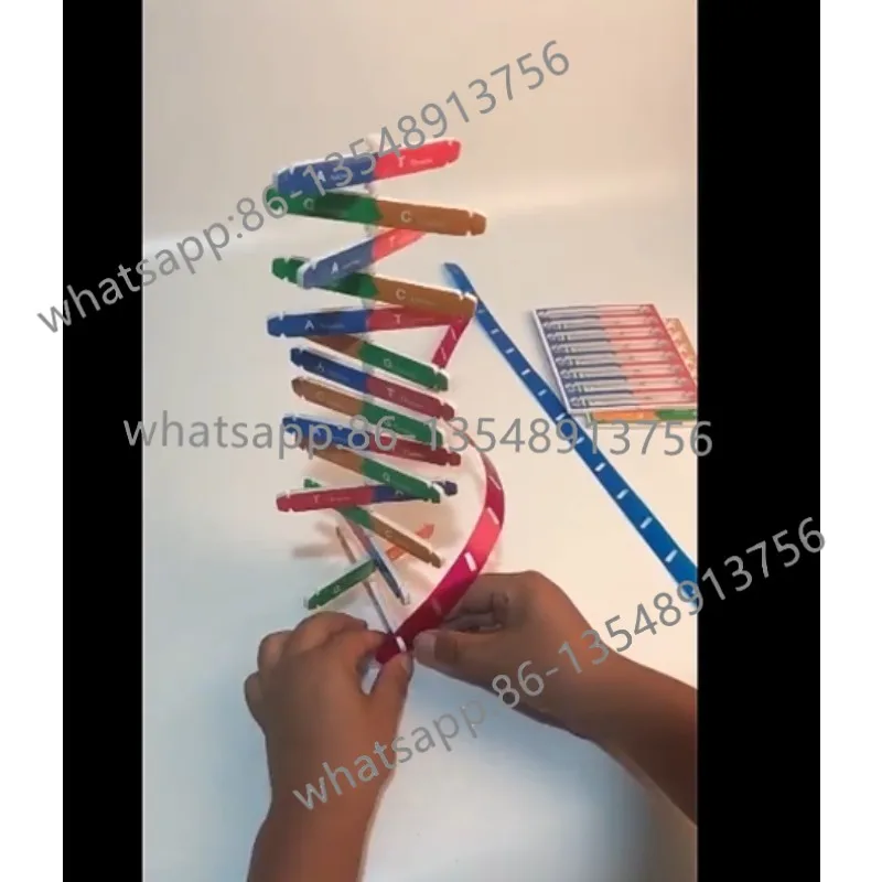 High and medium double helix structure model Molecular structure model 60cm large with base
High and medium double helix structure model Molecular structure model 60cm large with base