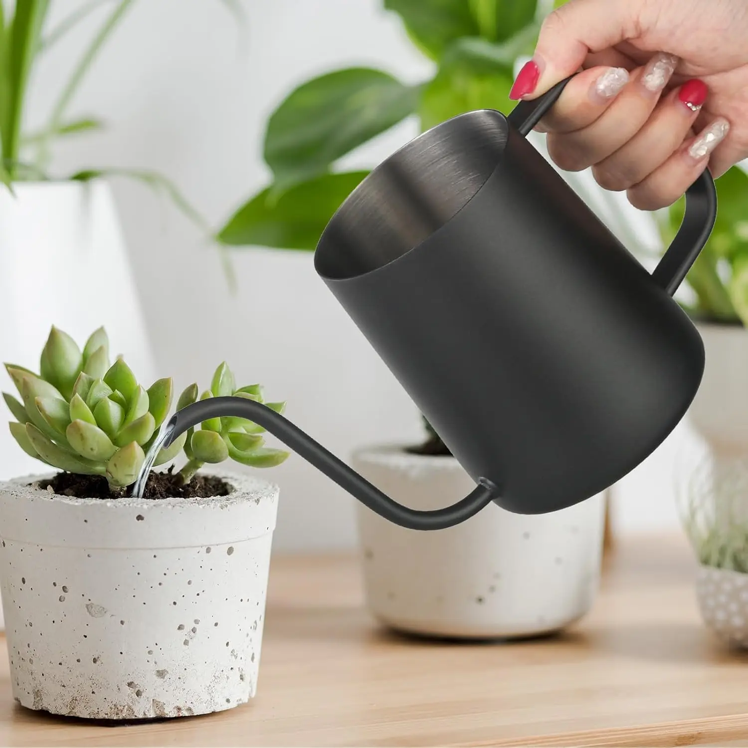 20 oz Stainless Steel Watering Can for Indoor Plants, Long Spout, Rust-Proof, Black
20 oz Stainless Steel Watering Can for Indoor Plants, Long Spout, Rust-Proof, Black