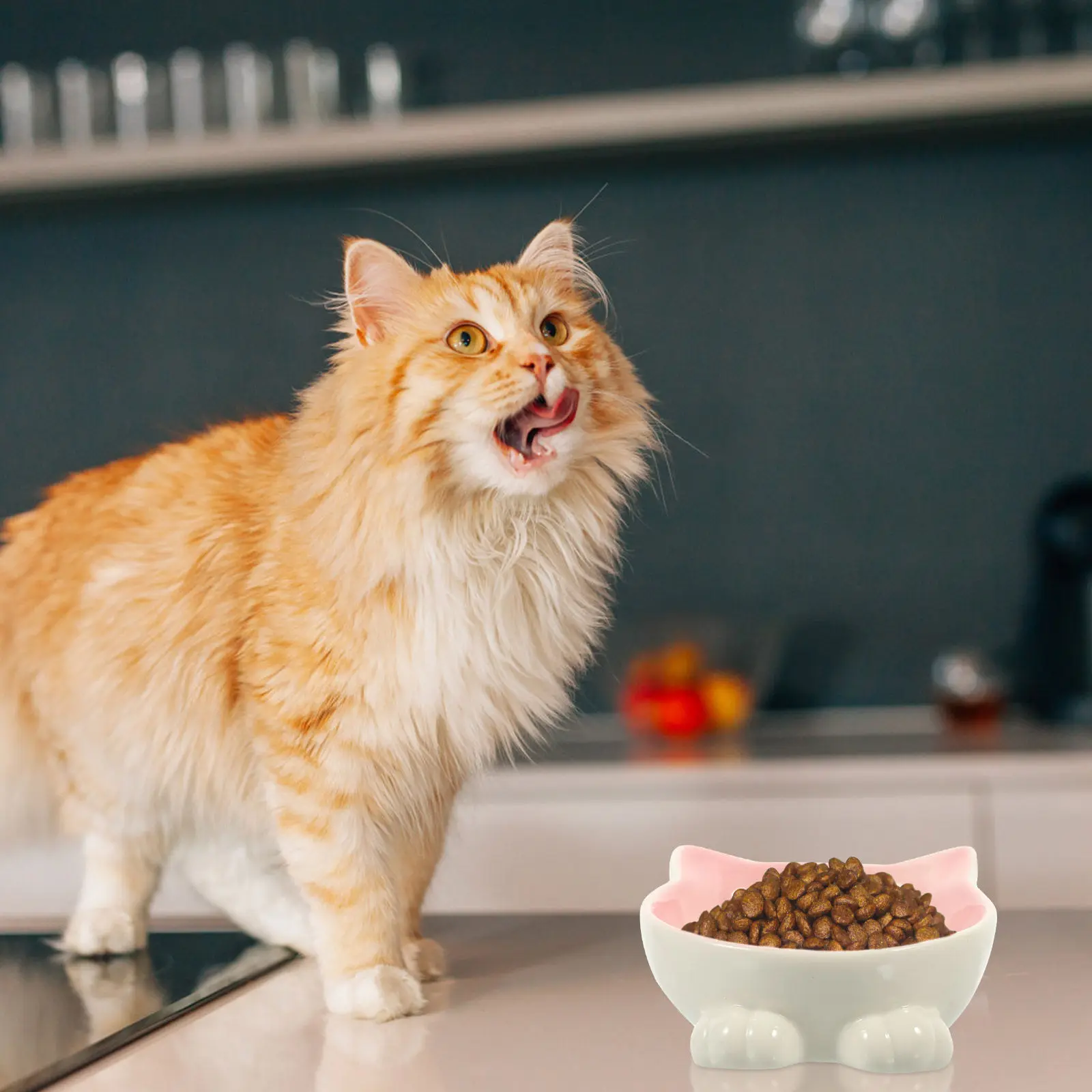 Premium Ceramic Cat Bowl with Ergonomic Neck Protection Design Smooth Surface Easy Clean Modern Feeding Bowl for Cats and Small
Premium Ceramic Cat Bowl with Ergonomic Neck Protection Design Smooth Surface Easy Clean Modern Feeding Bowl for Cats and Small