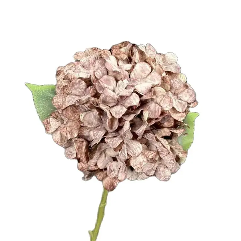 5Pcs Faux Single Stem Oversize Head Hydrangeas Green Leaf for Wedding Home Table Decorative Artificial Autumn Hydrangea
5Pcs Faux Single Stem Oversize Head Hydrangeas Green Leaf for Wedding Home Table Decorative Artificial Autumn Hydrangea