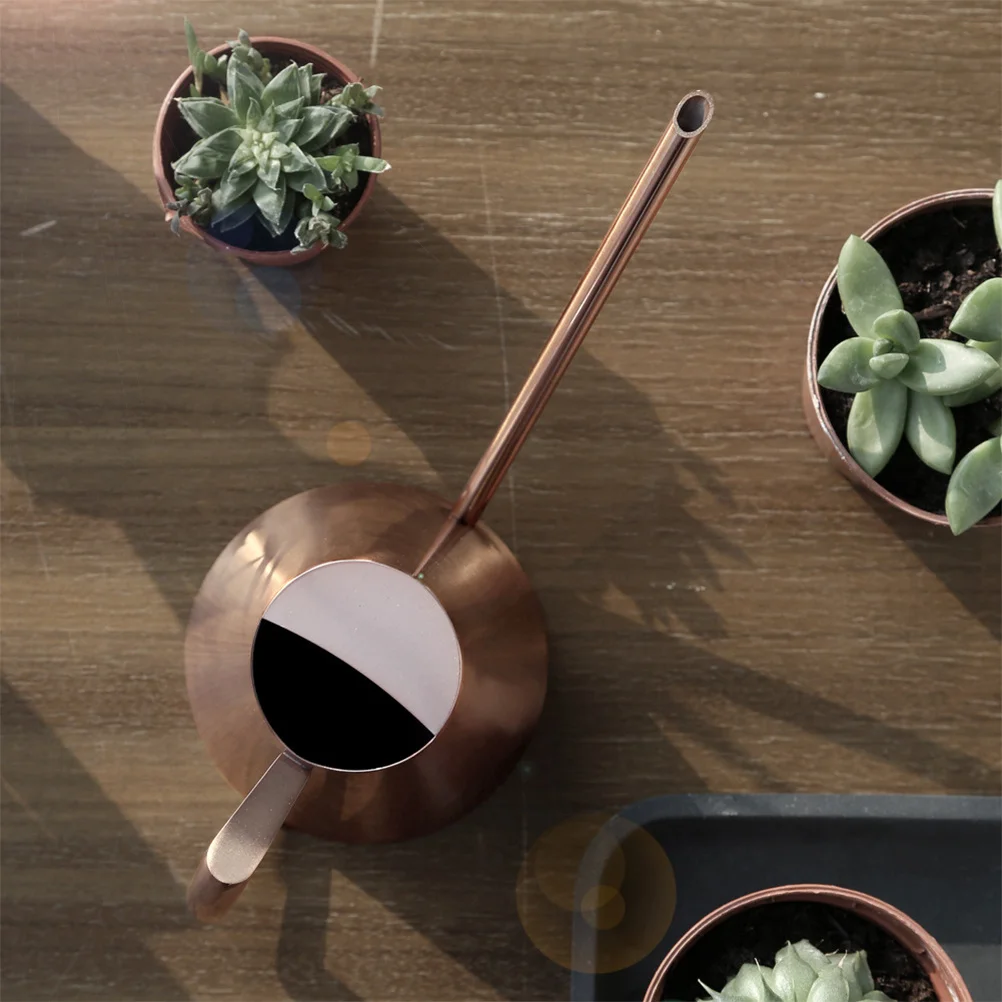 1500Ml Stainless Steel Watering Can Long Spout For Indoor Outdoor Plants Gardening Tool Succulent Watering Device Kettle
1500Ml Stainless Steel Watering Can Long Spout For Indoor Outdoor Plants Gardening Tool Succulent Watering Device Kettle