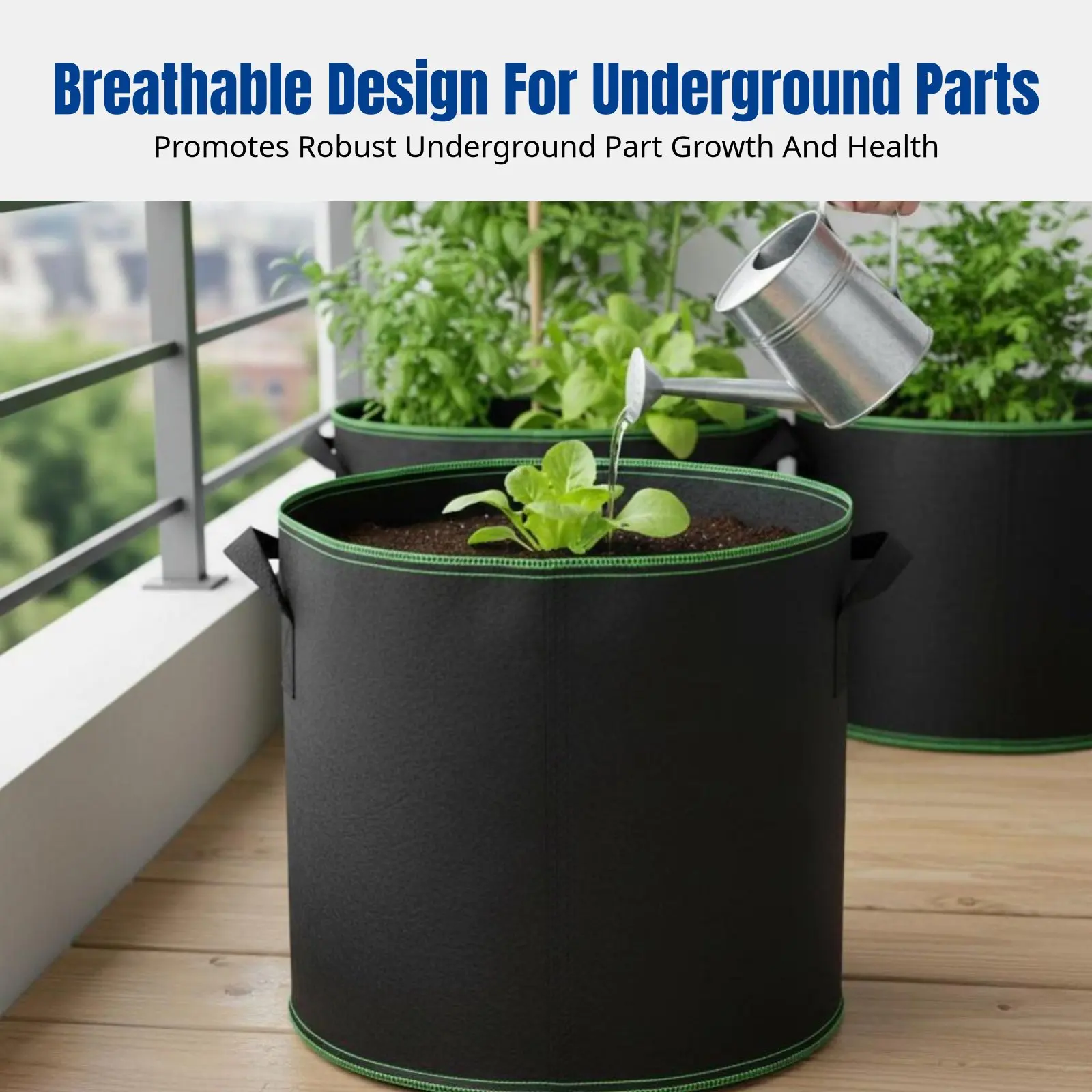 Thickened Non-Woven Plant Grow Bag, Reinforced Border, Breathable, for Garden Use, Multiple Sizes
Thickened Non-Woven Plant Grow Bag, Reinforced Border, Breathable, for Garden Use, Multiple Sizes