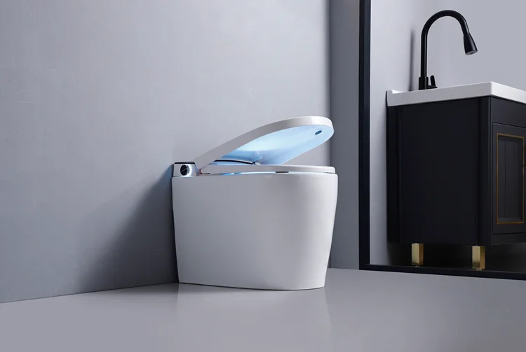 Sell With Butt Cleaning Function Floor Stand Flushing Smart Bidet Toilet
Sell With Butt Cleaning Function Floor Stand Flushing Smart Bidet Toilet