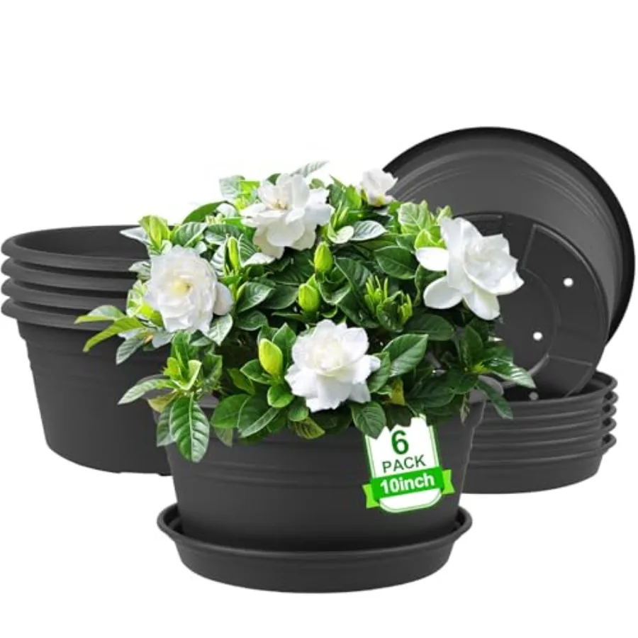 6 Pack Plant Pot, Round Plastic Plant Pots, Outdoor Pots for Plants with Draage Hole and Tray Saucer, Decoration Flower Pots fo
6 Pack Plant Pot, Round Plastic Plant Pots, Outdoor Pots for Plants with Draage Hole and Tray Saucer, Decoration Flower Pots fo