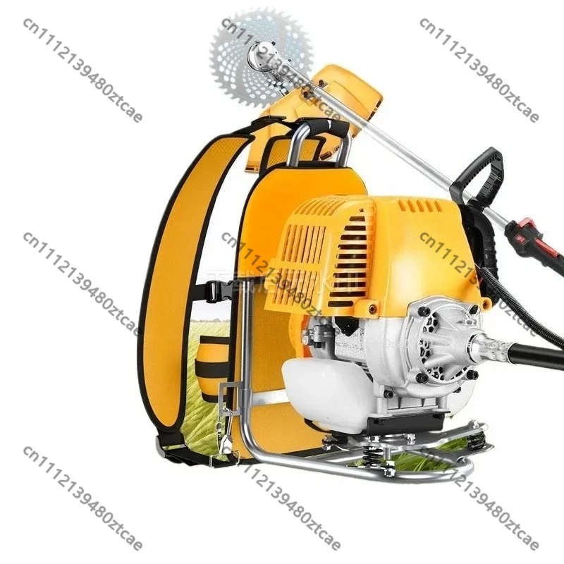 Backpack 4 Stroke Gas Brush Cutter, Multi-functional Grass Trimmer for Weeding & Soil Loosening
Backpack 4 Stroke Gas Brush Cutter, Multi-functional Grass Trimmer for Weeding & Soil Loosening